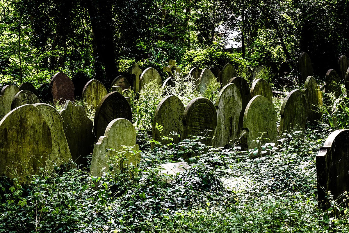 Người đàn ông kỳ bí này đội một chiếc mũ và di chuyển rất nhanh. Người này thoắt ẩn thoắt hiện trong nghĩa trang Highgate.