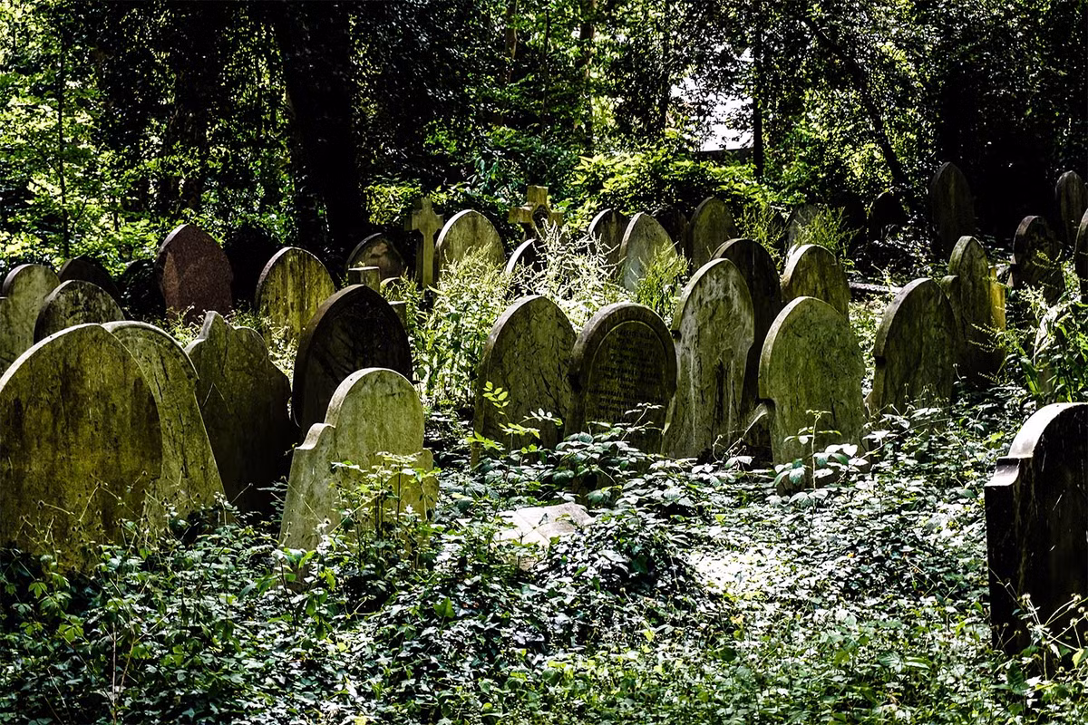 Người đàn ông kỳ bí này đội một chiếc mũ và di chuyển rất nhanh. Người này thoắt ẩn thoắt hiện trong nghĩa trang Highgate.