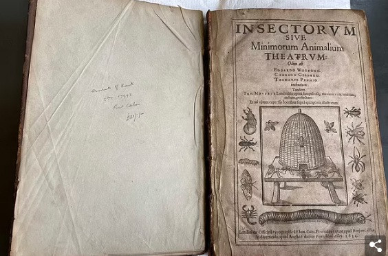 Các chuyên gia nhận định đây là một con bướm đốm màu nhỏ với màu sắc độc đáo. Nó nằm ngay bên cạnh hình ảnh minh họa về nó trong cuốn sách trên.