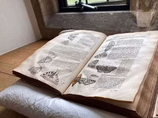 Các mẫu vật cây ép trong sách khá phổ biến thời xưa. Tuy nhiên, việc ép côn trùng trong sách như phát hiện mới đây là điều tương đối hiếm gặp.