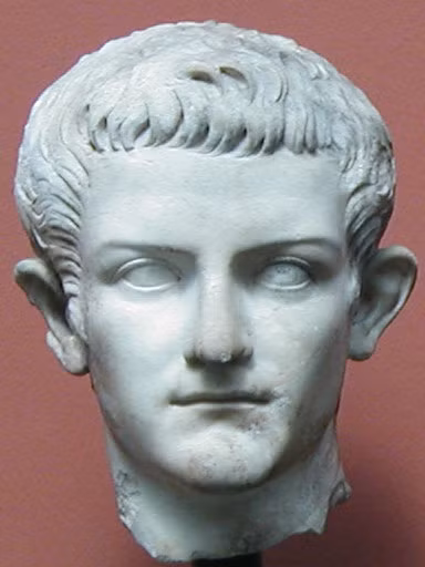 Hậu quả là Caligula tàn sát nhiều người mà ông coi là mối đe dọa để bảo vệ quyền lực của một nhà vua. Thậm chí, Caligula còn tịch thu tài sản của nhiều người dân, quý tộc, quan chức. Ông cũng khiến giới chức quân đội bất mãn vì những hành vì tàn độc.