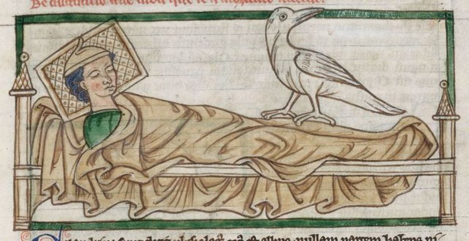 Sinh vật thần thoại này có khả năng chữa lành mọi bệnh tật cho bệnh nhân bằng cách nhìn vào mắt người đó.