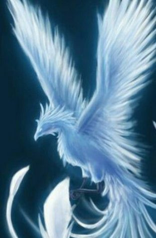 Nếu Caladrius nhìn vào mặt một người thì có nghĩa người đó sẽ sống thọ.