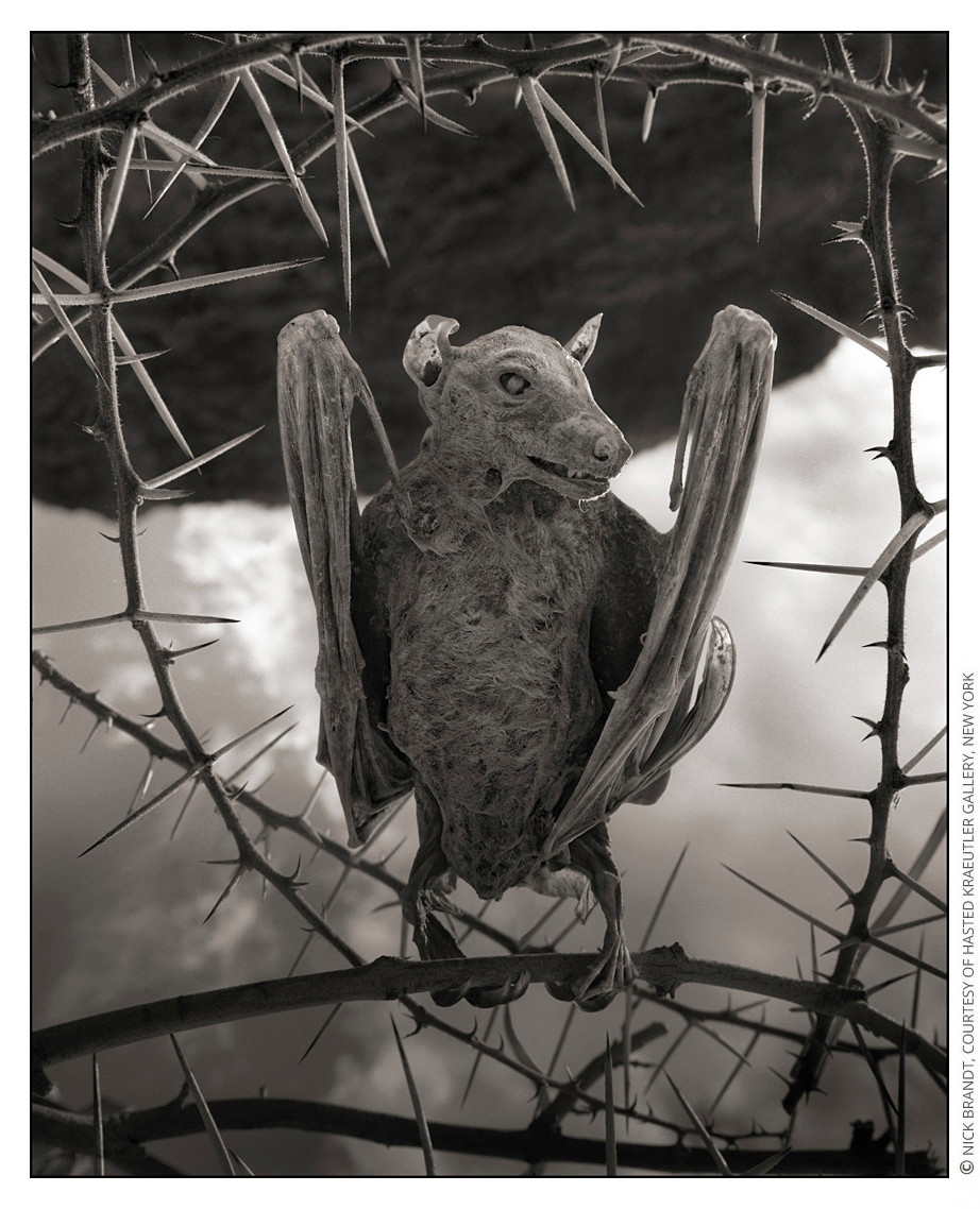 Liên quan đến bí ẩn này, các nhà khoa học đến khu vực hồ Natron và nghiên cứu mẫu nước, địa chất... để tìm kiếm câu trả lời.