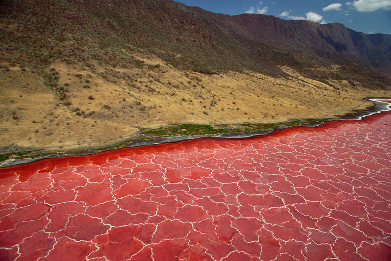 Nằm ở phía bắc Tanzania, gần biên giới Kenya, hồ Natron được biết đến là nơi khiến động vật hóa xác ướp nếu chúng sẩy chân rơi xuống nước.