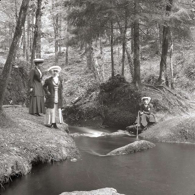 Ba phụ nữ ở Pháp có một chuyến đi chơi trong rừng. Ảnh chụp vào khoảng năm 1900.