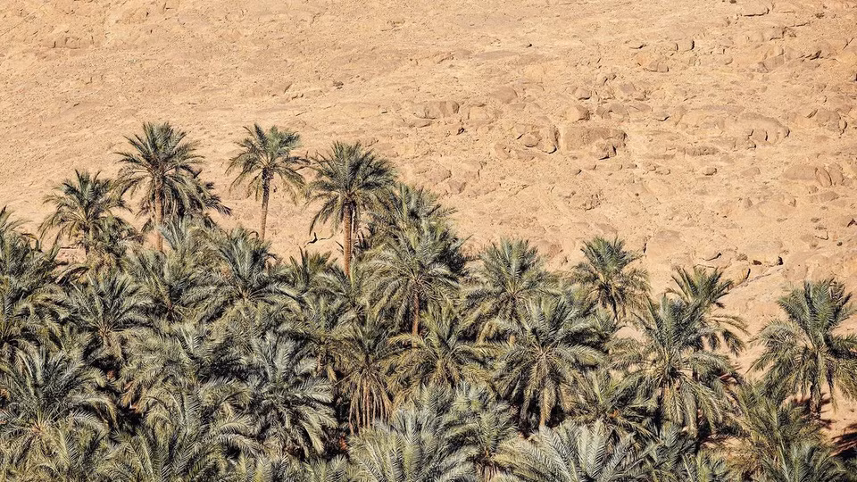 Một vấn đề khác đáng quan tâm của người dân sống trong những thành phố này là nước. Với họ, nước còn quý hơn vàng. Có một hội đồng chuyên trách giám sát việc sử dụng nguồn nước. Ở đây, họ có những hình phạt cho người sử dụng nhiều nước hơn mặt bằng chung của xã hội. Thực tế, từ năm 2008-2017, thung lũng M'Zab không có nổi một giọt mưa. Đó là lý do khiến họ nghiêm túc thực hiện các quy định.