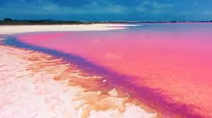 Sự kết hợp giữa nồng độ muối, ánh sáng Mặt trời và các loại tảo ưa mặn như tảo Dunaliella Salina đã khiến nước trong hồ Retba thay đổi theo từng thời điểm trong ngày.