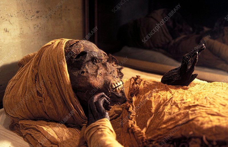 Trong thời gian trị vì, pharaoh Ai Cập Seqenenre Taa II nổi bật với vai trò lãnh đạo quân đội Ai Cập chống lại Hyksos - triều đại có nguồn gốc từ Tây Á.