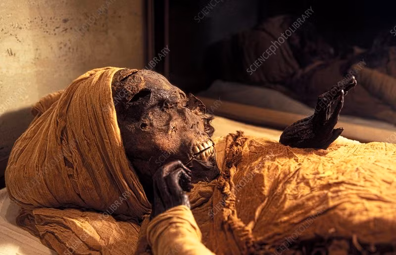 Trong thời gian trị vì, pharaoh Ai Cập Seqenenre Taa II nổi bật với vai trò lãnh đạo quân đội Ai Cập chống lại Hyksos - triều đại có nguồn gốc từ Tây Á.