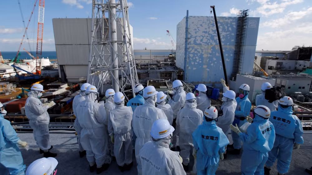 Những lò phản ứng hạt nhân này đáp ứng một phần nhỏ nhu cầu năng lượng của Nhật Bản.