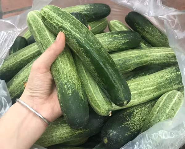 Dua chuot rot gia tham hai con 1.000 dong/kg, dan chang buon hai-Hinh-2