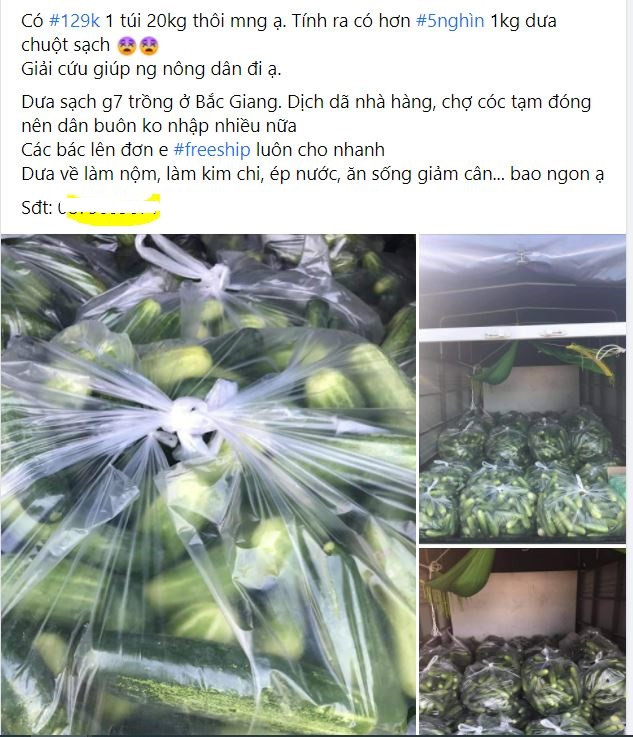 Dua chuot rot gia tham hai con 1.000 dong/kg, dan chang buon hai