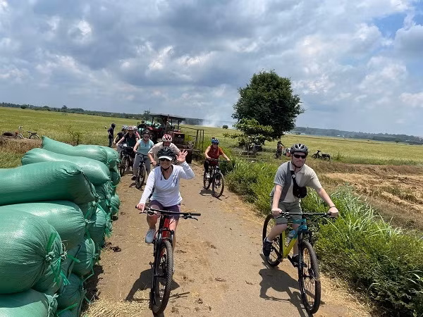 Hang ngan luot khach quoc te den Viet Nam du lich bang tau bien-Hinh-2