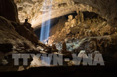 Trong khuôn khổ Lễ hội Hang động Quảng Bình 2019 vừa diễn ra, Động Thiên Đường một lần nữa được cả thế giới chú ý khi được vinh dự được Hội đồng Kỷ lục Châu Á xác lập kỷ lục là “Hang động có hệ thống thạch nhũ, măng đá độc đáo và tráng lệ nhất Châu Á”. Ảnh: TTXVN phát