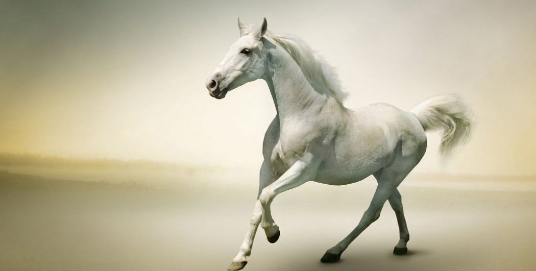 Nếu đang độc thân, người tuổi Ngọ sẽ có cơ hội gặp gỡ người mới thú vị, có thể là qua bạn bè hoặc các hoạt động xã hội. Sự tự tin và năng động của bạn sẽ thu hút đối phương. Đừng bỏ lỡ những tín hiệu của đối phương khi họ phải lòng bạn.