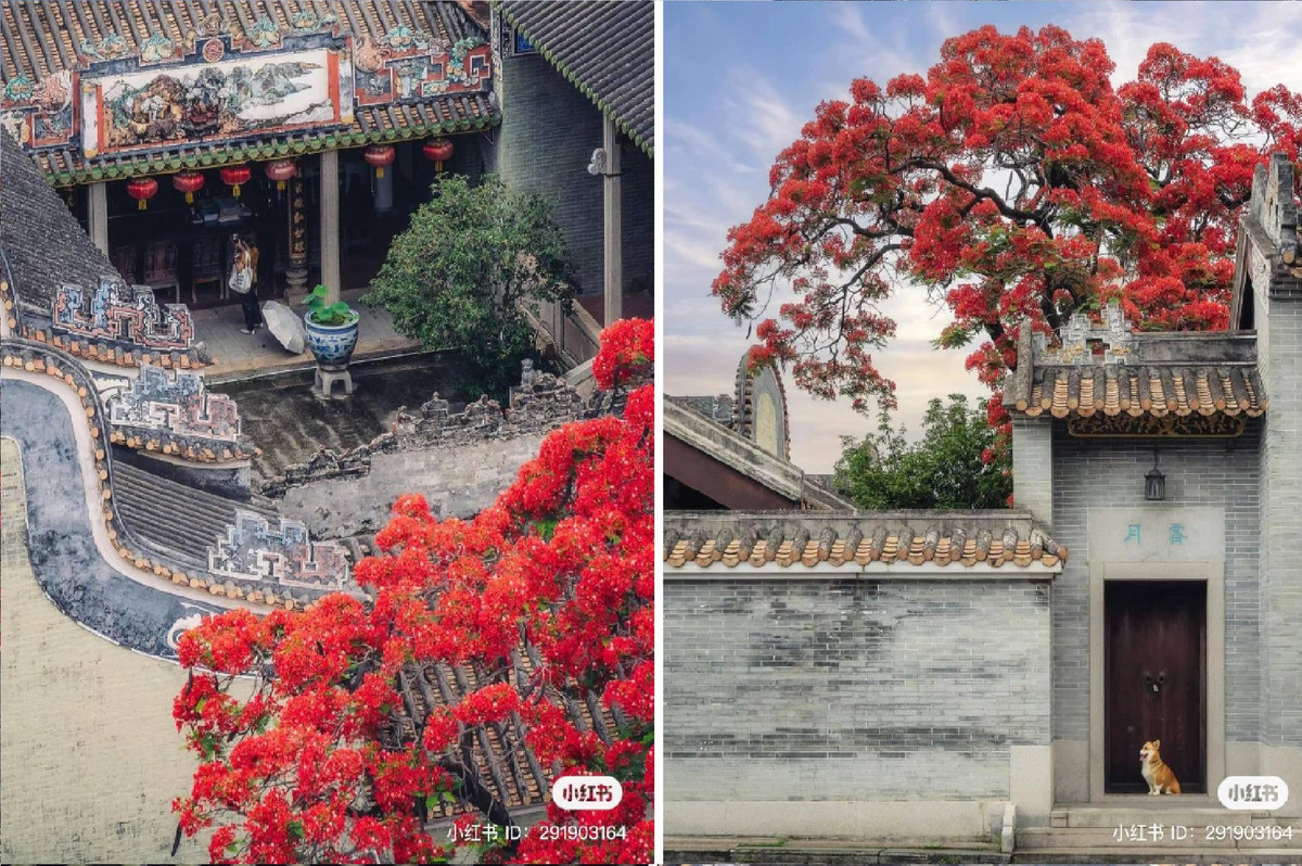 Khi bước vào một ngôi nhà hình tai chảo lớn, bạn sẽ thấy những tảng đá xếp chồng lên nhau tạo thành một khu vườn giả, bên cạnh là hồ nước có thể có vài con cá Koi bơi lội. Dưới mái hiên của phòng Đông và phòng Tây, những chậu cảnh được đặt một cách tự nhiên, tạo thành từng nhóm nhỏ.