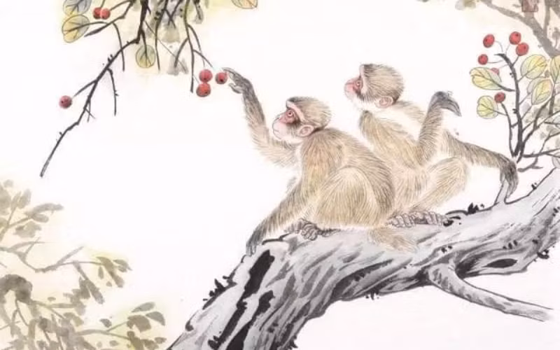 Lời khuyên nhỏ cho bạn là hãy cẩn thận trong chi tiêu, tránh mua sắm quá tay. Tập trung vào việc lập kế hoạch tài chính dài hạn sẽ giúp bạn đạt được nhiều lợi ích hơn. (*Bài viết mang tính tham khảo, chiêm nghiệm).