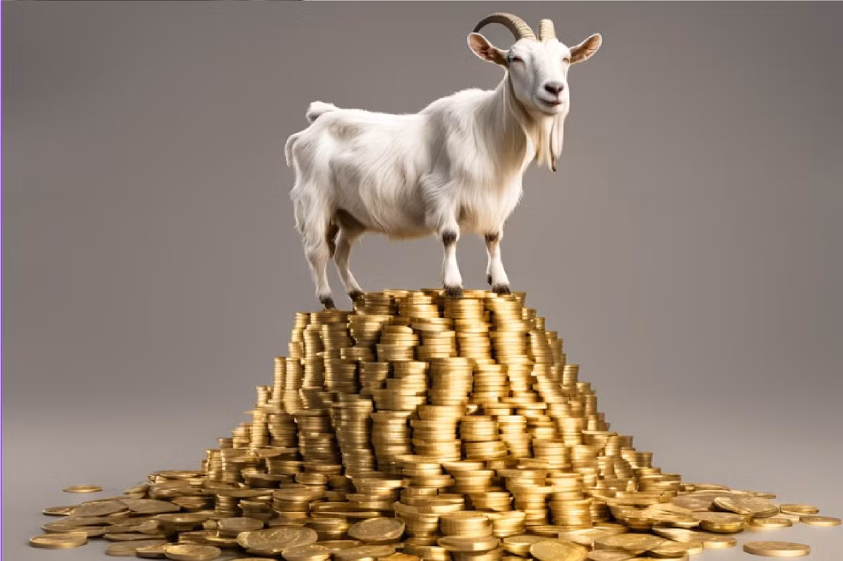 Đối với chuyện tình cảm, vận đào hoa nở rộ, những người độc thân bất ngờ gặp được người làm mình nhung nhớ. Cơ hội chẳng bao giờ chờ đợi ai, thậm chí có thể rơi vào tay người khác nếu như không nhanh chóng nắm bắt.