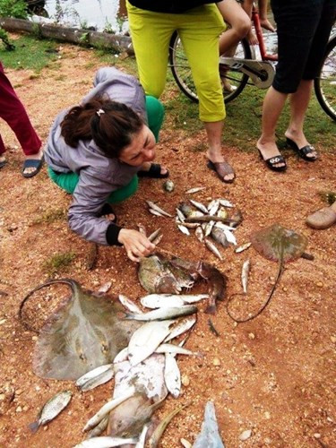 Ngày 5/1/2017, Văn phòng Chính phủ có văn bản truyền đạt ý kiến chỉ đạo của Phó Thủ tướng Thường trực Trương Hòa Bình về việc khẩn trương hoàn thành các nhiệm vụ liên quan đến hỗ trợ, bồi thường thiệt hại do sự cố môi trường biển. Ảnh: Báo Nhân Dân.