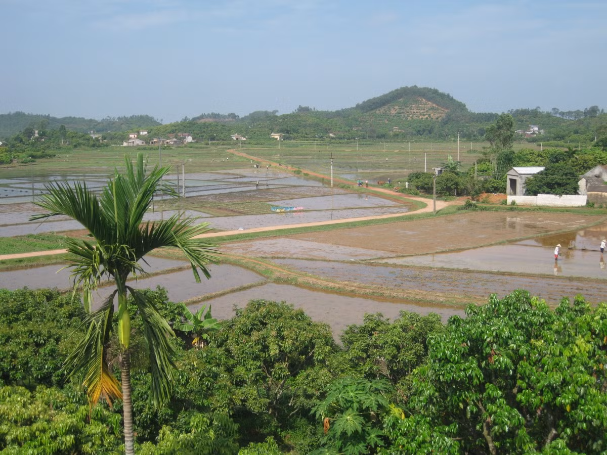  4. Nói phét Hòa Làng Thôn Hoà Làng (xã Phúc Hoà, huyện Tân Yên, tỉnh Bắc Giang) được mệnh danh là "làng nói khoác". Mọi người trong vùng thường nói: "Dân Hòa Làng có khác", hay "Muốn nói khoác thì về Hòa Làng mà nói"... để khẳng định sự việc của người đang nói là không có thật. Những câu chuyện nói phét của người dân Hòa Làng bắt nguồn từ những sự việc rất đời thường như một người dân quả quyết khi kể chuyện: "Tôi bắt được một con ếch, ăn thịt hai năm mới hết". Chúng tôi đoán già đoán non không biết bác ra chiêu gì đây thì bác mới thủng thẳng kể câu chuyện: Đêm 30 cầm đuốc ra trại, qua bờ ao, bắt được một con ếch to về làm thịt, bắc mâm ra còn là năm cũ, ăn qua giao thừa sang năm mới mới hết. Thế chẳng là con ếch ăn hai năm mới hết là gì?”. Hay, một người dân khác “chém gió” ở làng có con cá quẫy nát ba sào lúa. Khi được hỏi, người này giải thích: "Trẻ trâu thấy con cá quả “nạc” vào ruộng xấp nước, chúng hò nhau vào đuổi bắt, cá quẫy khắp ruộng, trẻ con đuổi theo. Bắt được con cá bằng cổ tay thì nát hết ba sào lúa, thế không phải con cá quẫy nát ba sào lúa ư?". 