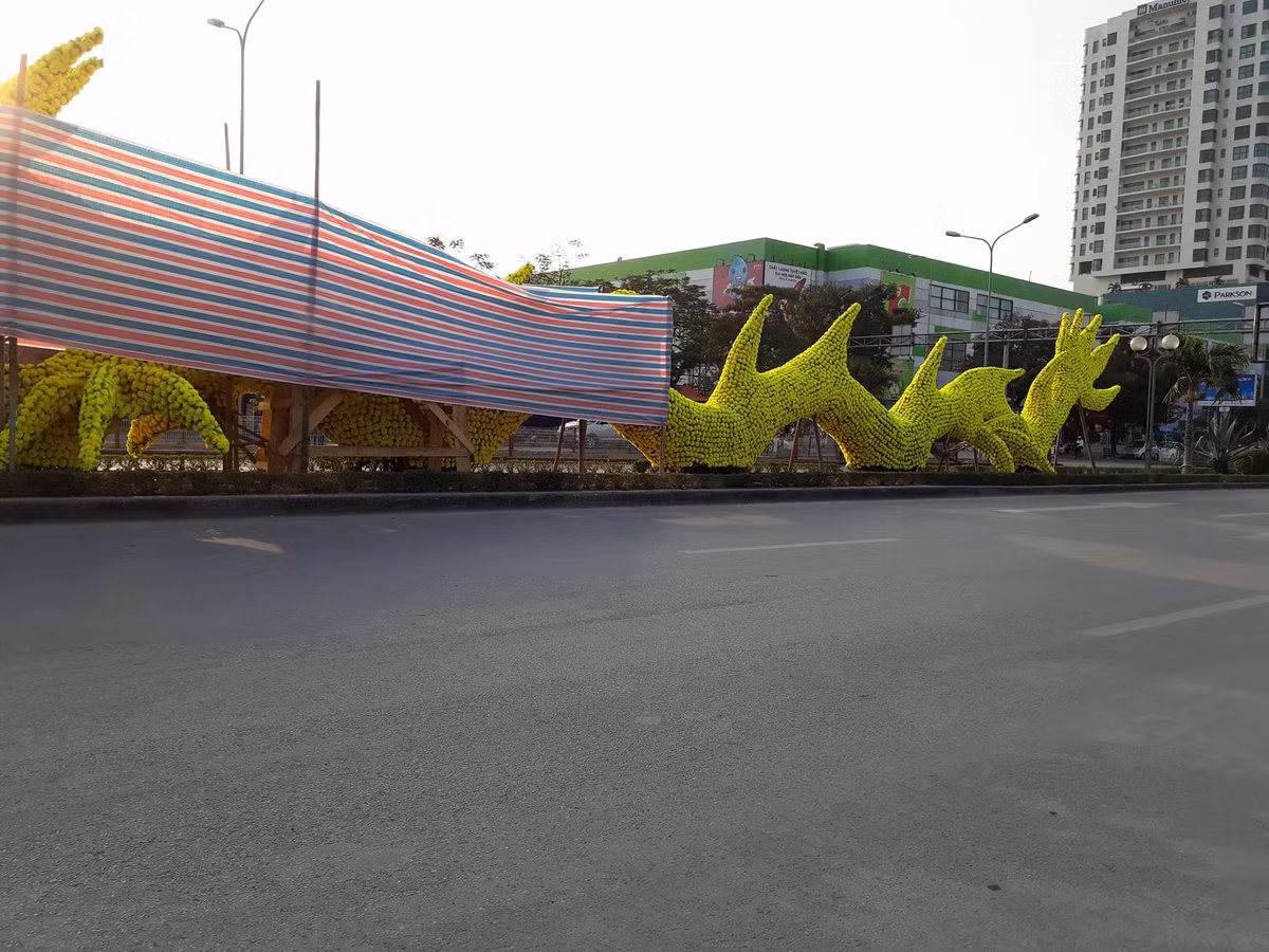 Thao do hoa tren hinh rong gay tranh cai o Hai Phong-Hinh-2