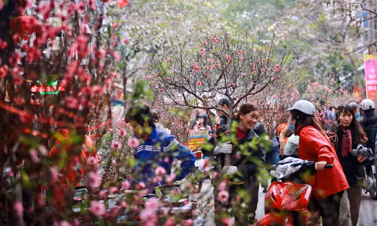 Chợ hoa tết nay.