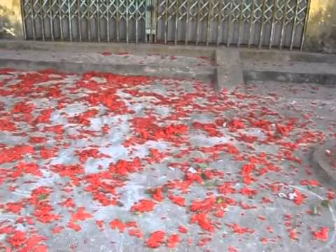 Quy trach nhiem cho lanh dao dia phuong neu xay ra dot phao