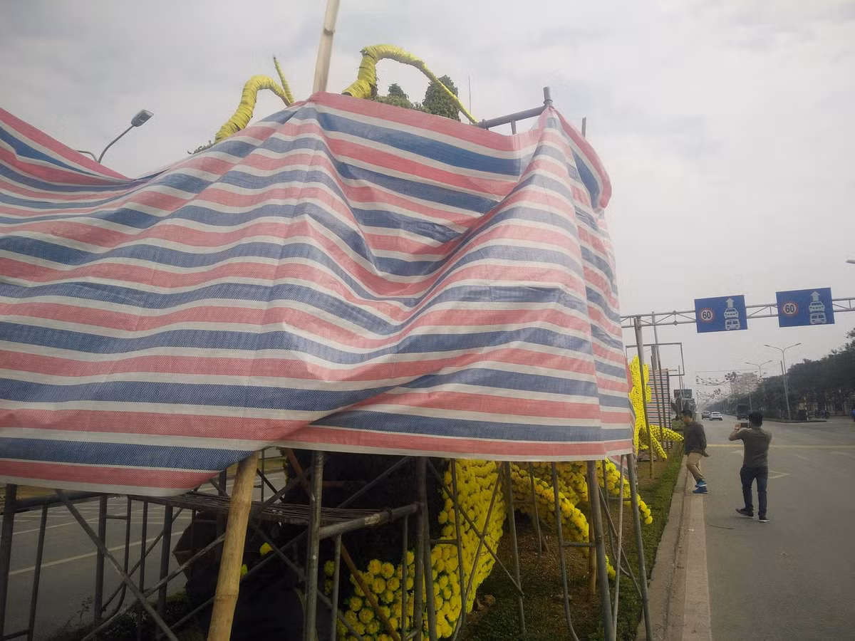 Trước đó, mạng xã hội Facebook xôn xao bình luận về biểu tượng mô hình hai con rồng được gắn hoa trên đường Lê Hồng Phong (quận Ngô Quyền, TP Hải Phòng). Lý do hai con rồng mô hình bằng cây xanh này gây tranh cãi cộng đồng mạng là do nhiều người cho rằng, mô hình này chỉ giống rồng nhưng không thể hiện được sự oai phong, uy nghiêm, quyền lực của linh vật thần thoại vốn tượng trưng thiên mệnh cao cả và tối thượng.