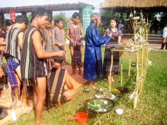 14. Phong tục cúng trâu của người H’rê Theo phong tục, Tết của đồng bào Hrê kéo dài vài tháng liền. Bởi vậy mỗi gia đình phải lo nấu thật nhiều bánh tét, ủ thật nhiều rượu và chuẩn bị vài con trâu để đãi buôn làng. Vào ngày Tết thứ hai, khi tiếng gà rừng cất tiếng gáy, Người dân H’Rê phải dậy để làm lễ cúng trâu. Đối với họ, con trâu là cánh tay đắc lực, giúp kéo cày, bừa, giải quyết lúc gia đình khó khăn... Vì thế, lễ cúng trâu đặc biệt quan trọng. Trong lễ cúng trâu, họ chuẩn bị một nghi lễ tươm tất: Con gà sống, rượu, trầu cau... Họ trải chiếu hoa trước cổng chuồng trâu để làm lễ, khấn vái cầu mong cho con trâu khỏe mạnh, mập tròn như trái sim, để kéo cày, bừa tốt, đẻ được nhiều con.