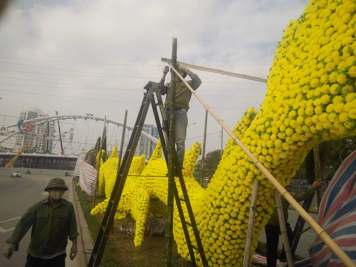 Trao đổi với PV, Chủ tịch UBND TP Hải Phòng Nguyễn Văn Tùng cho biết: “Việc làm này không nằm trong kế hoạch trang trí đường phố Hải Phòng cuối năm mà là việc trang trí định kỳ của Công ty TNHH Một thành viên Công viên cây xanh Hải Phòng nên họ không báo cáo UBND TP Hải Phòng. Con rồng chưa hoàn thiện nhưng bị dư luận nhân dân phản ứng dữ dội. Khi xem xét thì tôi thấy con rồng này cũng gây hình ảnh phản cảm nên chỉ đạo khẩn trương kiểm tra cụ thể việc trang trí trên, trường hợp không đảm bảo yêu cầu về kỹ thuật, mỹ thuật phải chỉ đạo khẩn trương tháo dỡ, khôi phục lại hiện trạng ban đầu".