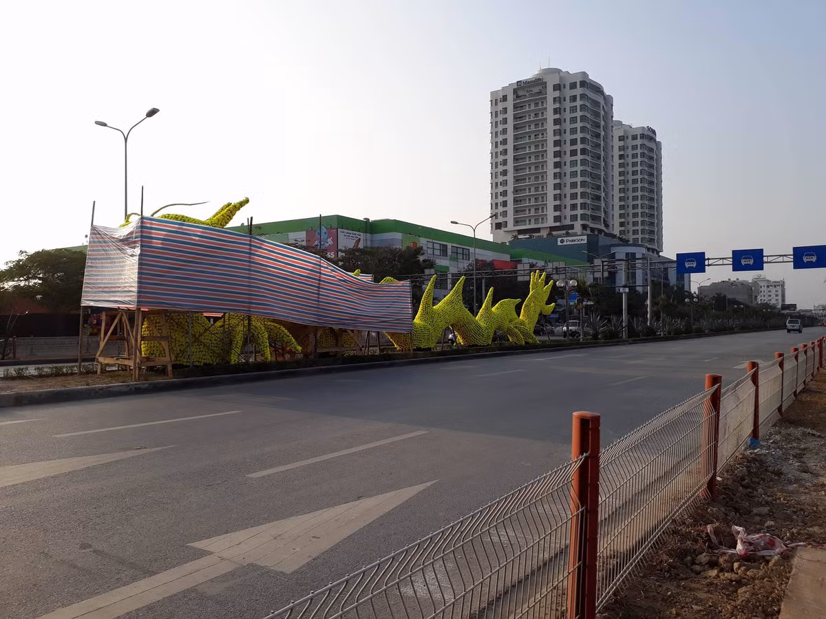 Thao do hoa tren hinh rong gay tranh cai o Hai Phong-Hinh-6