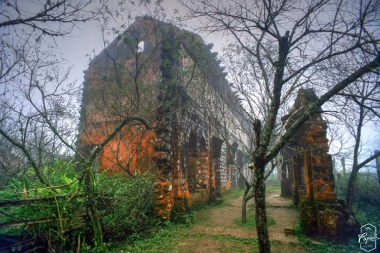 7. Những điểm đến tham quan, ngắm cảnh, nghỉ dưỡng không thể không đến dịp tết Nguyên Đán 2017 phải kể đến Sapa (Lào Cai), Tam Đảo (Vĩnh phúc), Đà Lạt, Đà Nẵng...