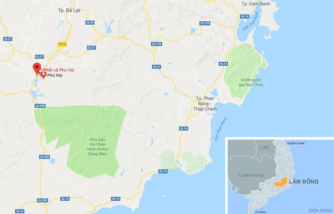 Kinh hoang o to dang di bi cay xuyen thung-Hinh-3