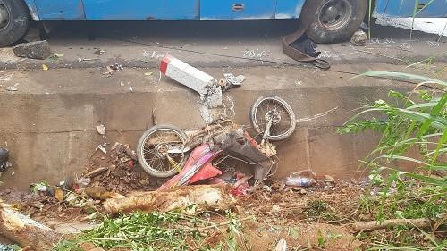 Kinh hoang o to dang di bi cay xuyen thung-Hinh-2