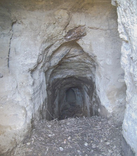 Tới đây, các hướng dẫn viên sẽ dẫn du khách tới hang Grotta del Cane để thực hiện thử nghiệm nhỏ nhưng vô cùng đáng sợ với một con chó.