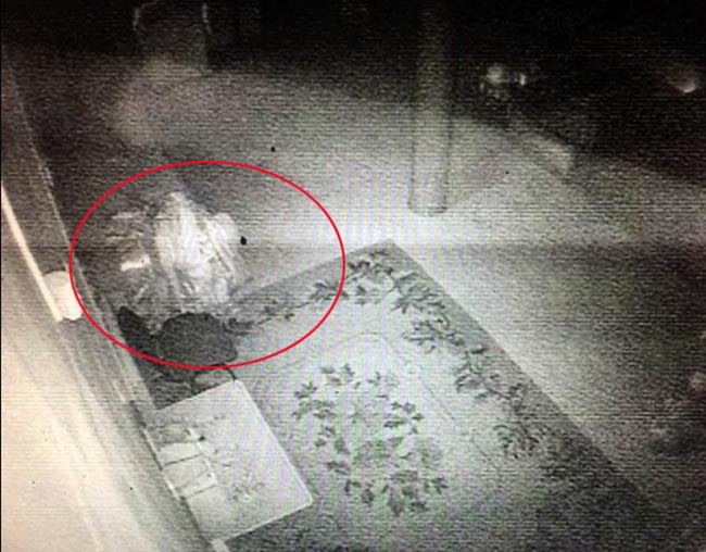 Tubden Baldanov, phát ngôn viên của hội Phật giáo Truyền thống Sangha cũng cho rằng, Lạt Ma Dashi-Dorzho Itigilov đã "hồi sinh", đứng dậy và đi lại bên trong tu viện Ivolginsky.