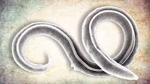 Tuy nhiên, giới khoa học lo ngại biến đổi khí hậu khiến các sông băng trên Trái Đất tan chảy. Từ đó, nhiều vi khuẩn, virus gây bệnh nguy hiểm sống lại có thể gây ra dịch bệnh khủng khiếp đối với nhân loại.