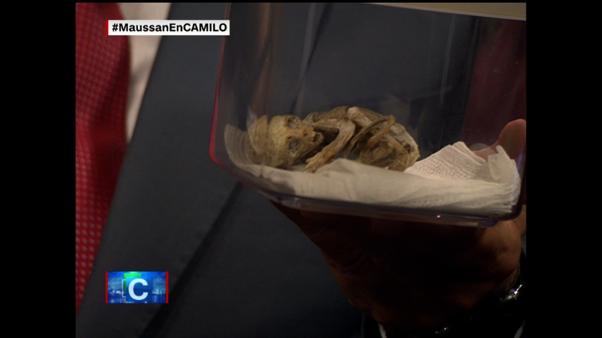 “Các xác ướp này được an táng trong hầm mộ của con người. Điều đó có nghĩa là họ đã hợp tác với tổ tiên của chúng ta. Họ không phải kẻ thù hoặc ít nhất là hai chủng tộc đã thể hiện sự tôn trọng lẫn nhau”, ông Maussan nói trong một cuộc họp báo.