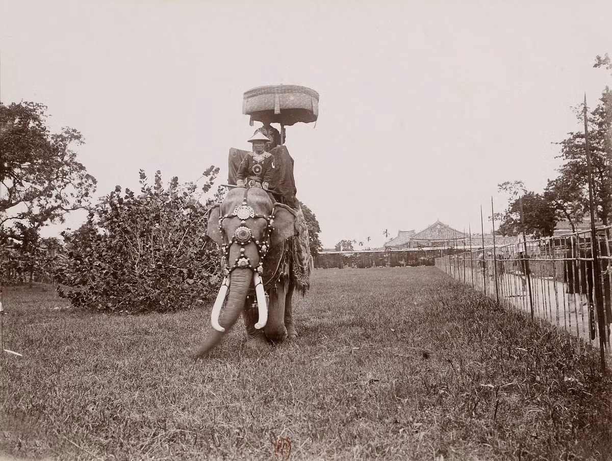 Lính canh cưỡi voi bên trong Hoàng thành Huế.