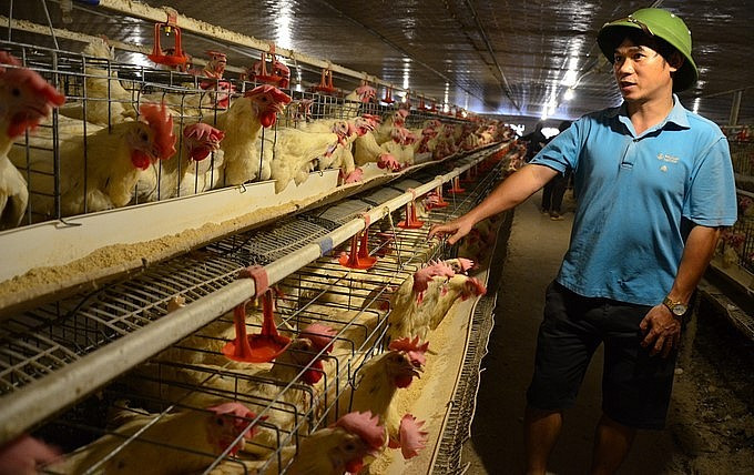 Trai ga chuc ty cua thay giao va loi khuyen de khong bi “sap”-Hinh-2