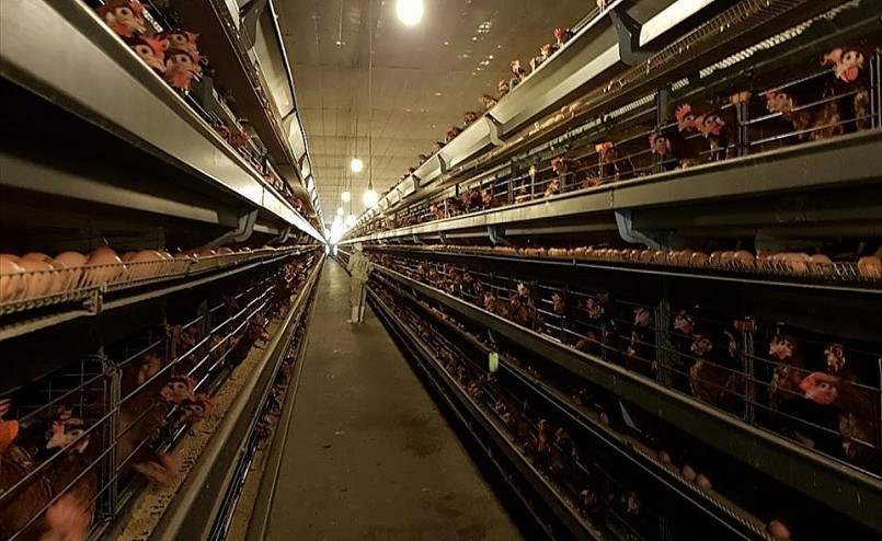 Trai ga chuc ty cua thay giao va loi khuyen de khong bi “sap”-Hinh-3