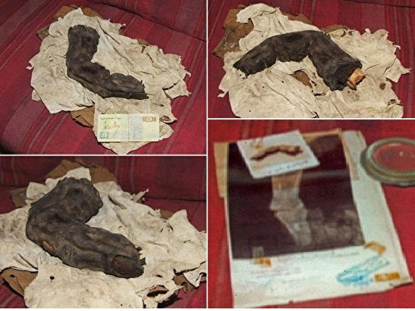 Điều này khiến nhiều người hoài nghi ngón tay đó có khả năng thuộc về người khổng lồ. Tuy nhiên, để chứng minh người khổng lồ có thật không phải điều dễ dàng.