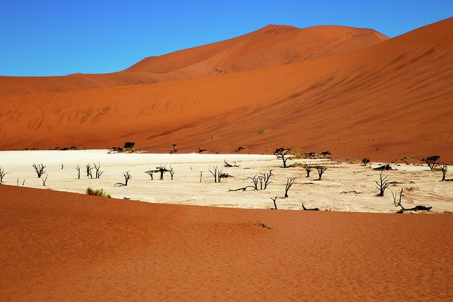 "Khu rừng chết" Deadvlei đẹp nhất là vào lúc sáng sớm tinh mơ. Khi ấy, ánh Mặt trời buổi sớm chiếu rọi cồn cát đỏ và màu trắng của chảo đất sét ánh kết hợp với các cây chết khô màu đen sẽ tạo nên một "bức tranh" tương phản ấn tượng.