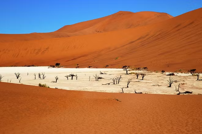 "Khu rừng chết" Deadvlei đẹp nhất là vào lúc sáng sớm tinh mơ. Khi ấy, ánh Mặt trời buổi sớm chiếu rọi cồn cát đỏ và màu trắng của chảo đất sét ánh kết hợp với các cây chết khô màu đen sẽ tạo nên một "bức tranh" tương phản ấn tượng.