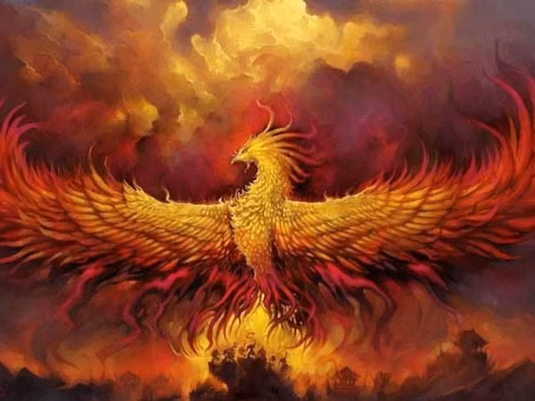 Các truyền thuyết ở phương Tây lưu truyền những câu chuyện ly kỳ về loài phượng hoàng. Sinh vật thần thoại được mô tả là loài chim có bộ lông óng mượt màu đỏ tuyệt đẹp và tỏa ra những tia óng ánh màu vàng khi bay lượn trên bầu trời.