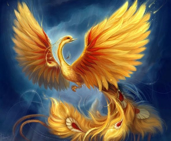 Phượng hoàng có tuổi thọ rất lớn, có thể sống tới năm 500 tuổi. Chúng được coi là biểu tượng của Mặt Trời, sự đổi mới và tái sinh.
