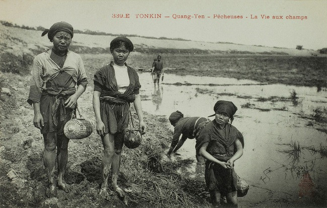 Những người làm nghề mò cua, bắt ốc để kiếm thêm thu thập, giúp trang trải cuộc sống của gia đình.