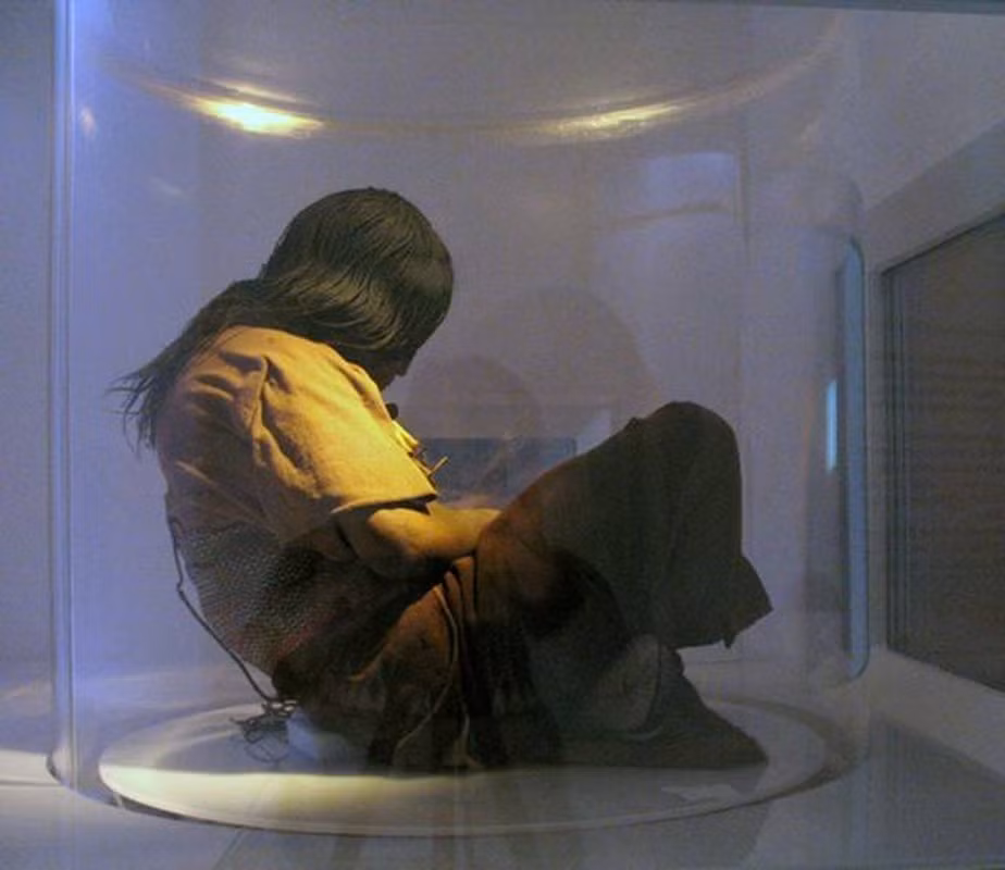 Năm 1999, các chuyên gia tiến hành cuộc khai quật trong hố băng nằm ở độ cao 6.739m so với mực nước biển trên đỉnh núi Llullaillaco của Argentina. Theo đó, họ bất ngờ tìm thấy 3 xác ướp trẻ em Inca.