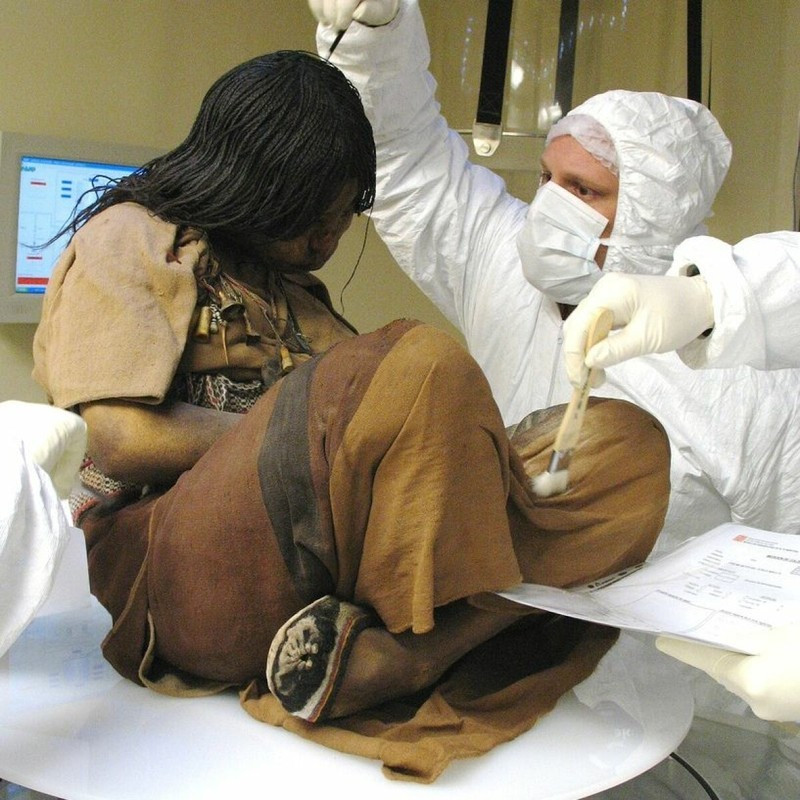 Thông qua một số kiểm tra, phân tích, các chuyên gia phát hiện những đứa trẻ trên đã tham gia nghi lễ “capacocha”. Đây là một nghi thức hiến tế trong lễ kỷ niệm sự kiện quan trọng của hoàng đế Inca.